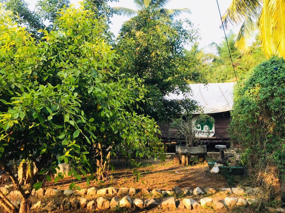 Aliya Riverside & Safari Resort Udawalawe Buitenkant foto