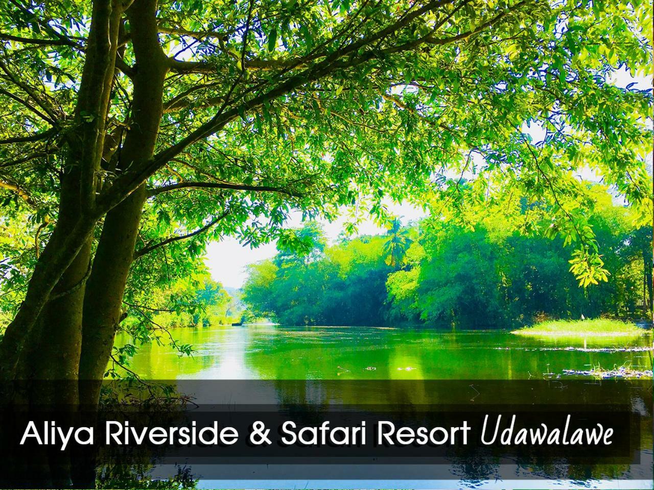 Aliya Riverside & Safari Resort Udawalawe Buitenkant foto