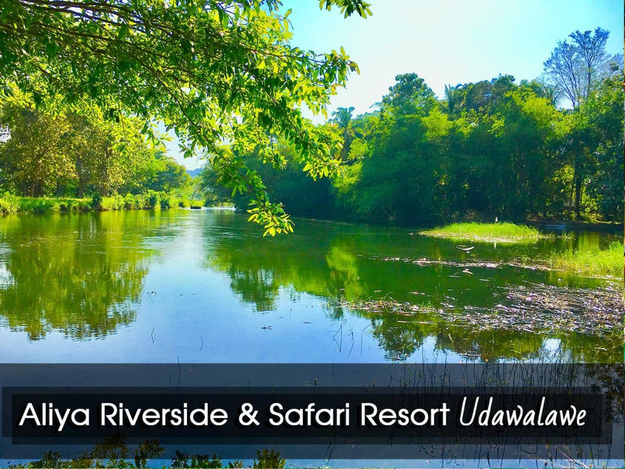 Aliya Riverside & Safari Resort Udawalawe Buitenkant foto