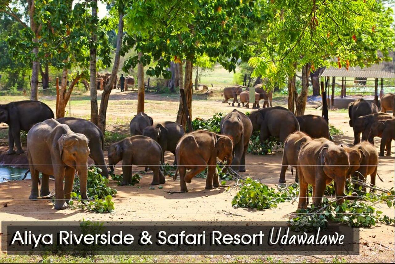 Aliya Riverside & Safari Resort Udawalawe Buitenkant foto