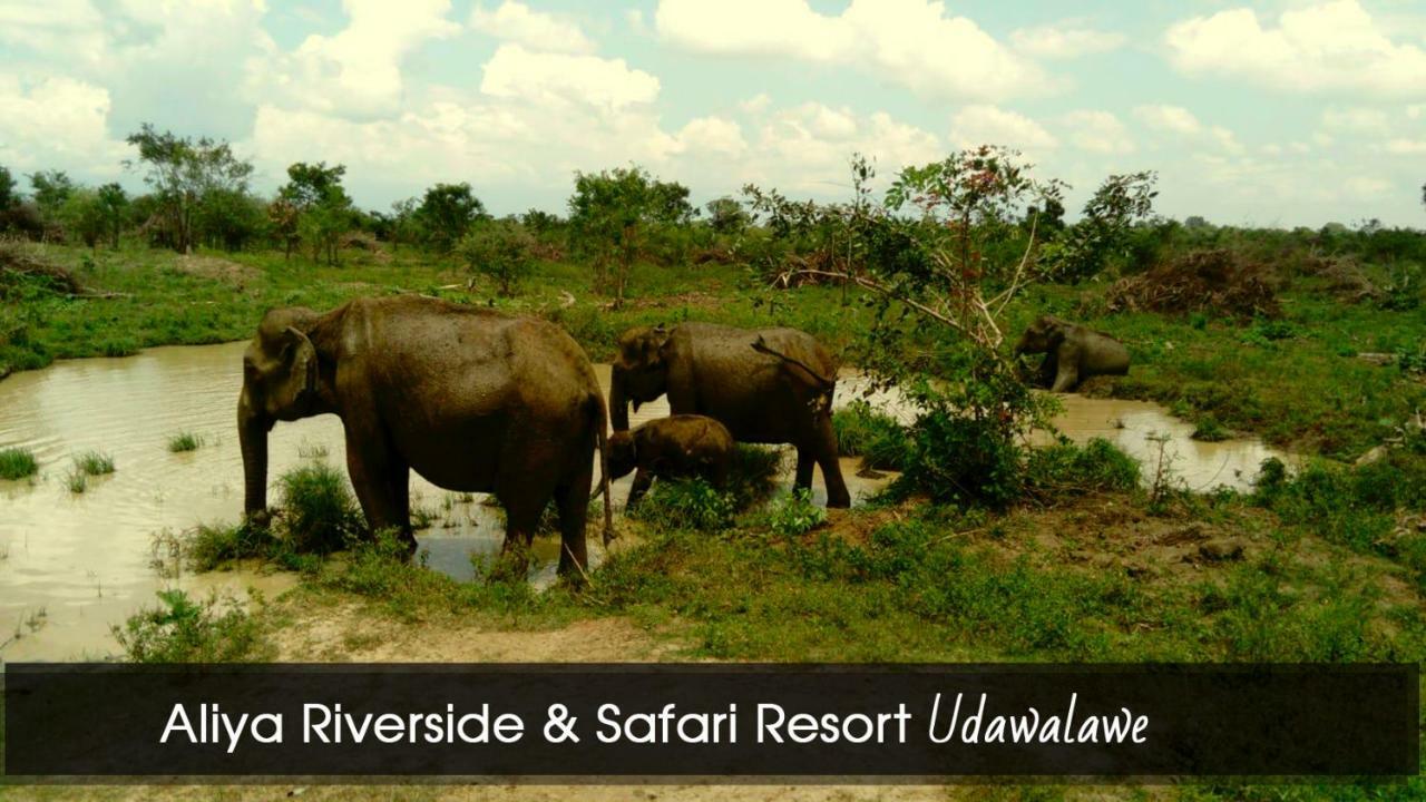 Aliya Riverside & Safari Resort Udawalawe Buitenkant foto