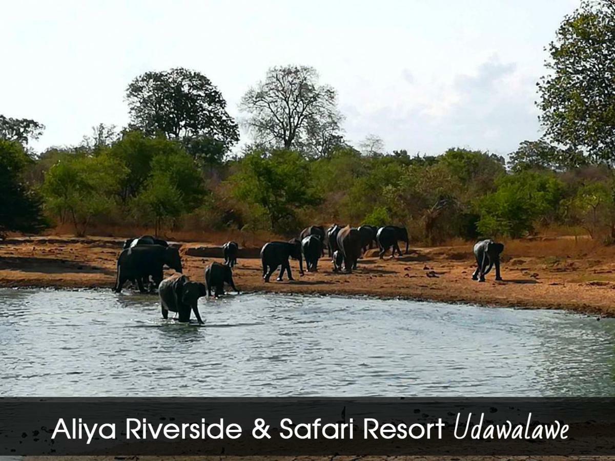 Aliya Riverside & Safari Resort Udawalawe Buitenkant foto