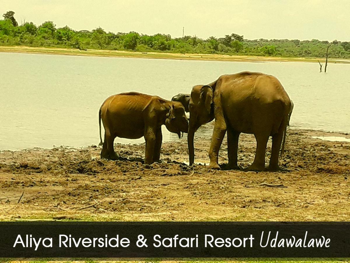 Aliya Riverside & Safari Resort Udawalawe Buitenkant foto
