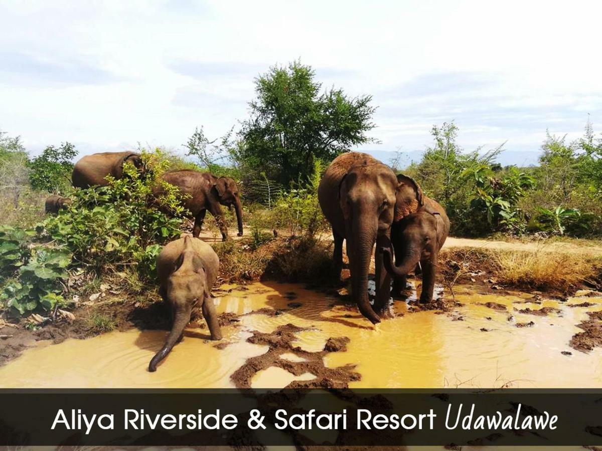 Aliya Riverside & Safari Resort Udawalawe Buitenkant foto