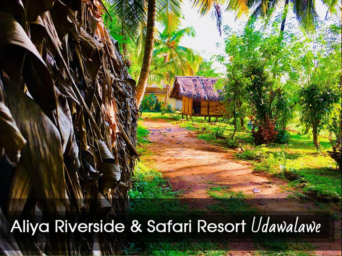 Aliya Riverside & Safari Resort Udawalawe Buitenkant foto